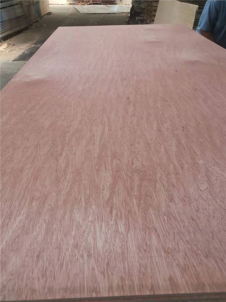 Bintangor Okoume Pine Plywood For Furniture/packing