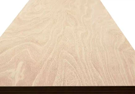 Dąb Buk Klon Teak Fornir Fantazyjny Mdf
