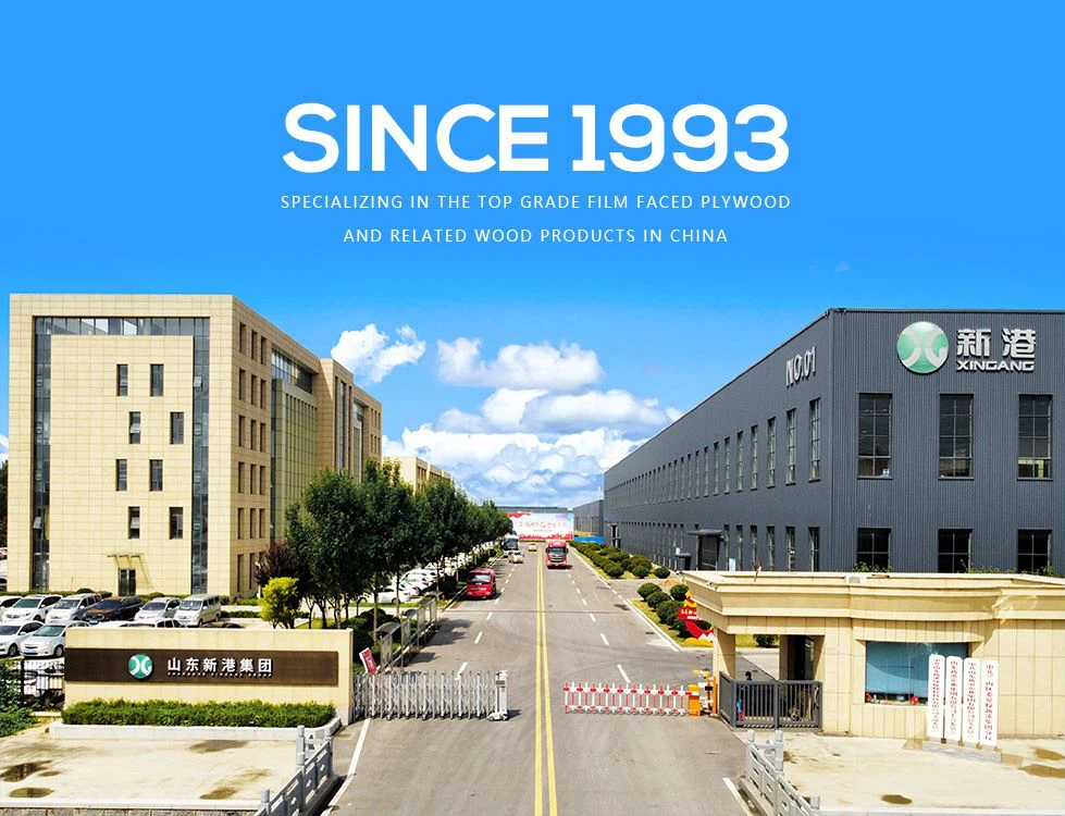 Shandong Xingang Grupa