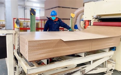 Wprowadzenie do produktu MDF