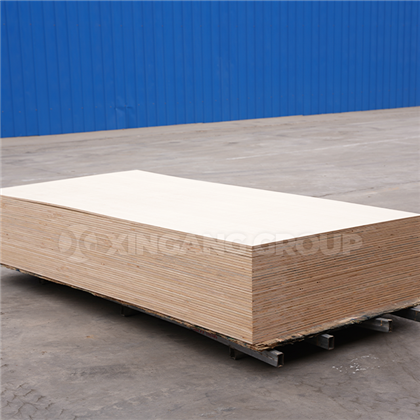 Sklejka handlowa2025